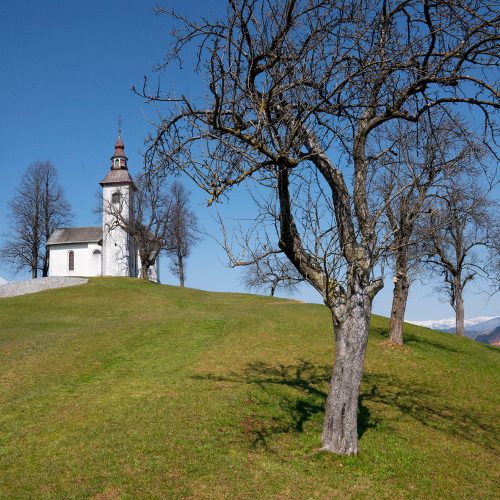 Podružnična cerkev sv. Tomaža